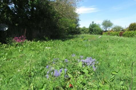 bluebells and red campion 2.JPG
