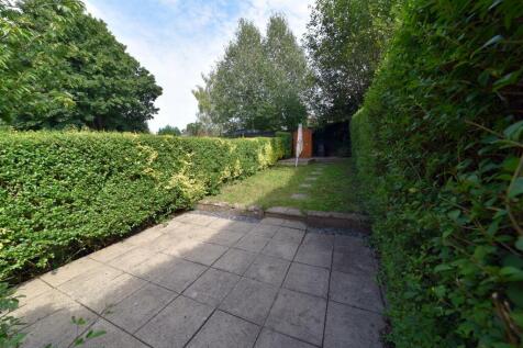 garden.JPG