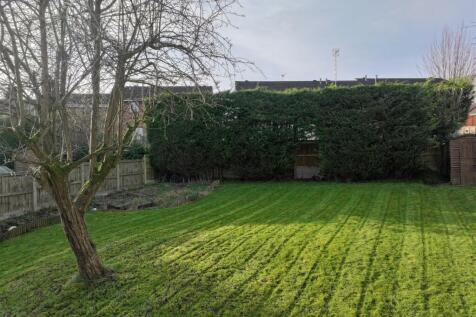 garden 2.JPG