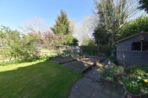 garden2.JPG
