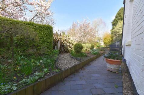 garden4.JPG