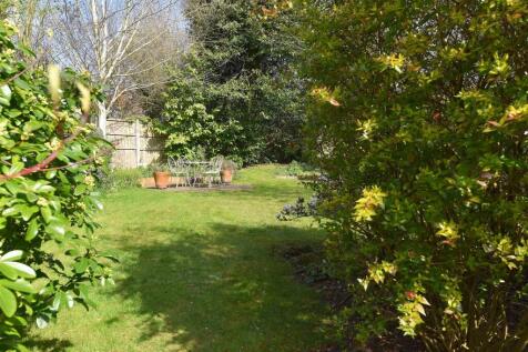 garden3.JPG
