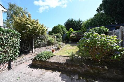 NEW GARDEN.JPG