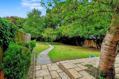garden (2).JPG