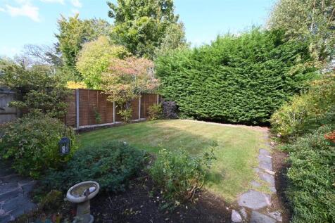 garden.JPG