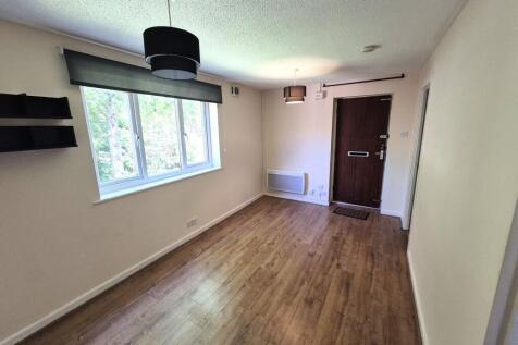 Lounge/Bedroom