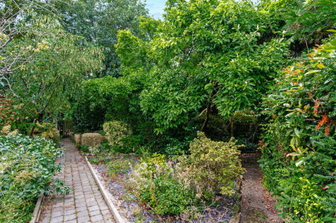 Property Image 42