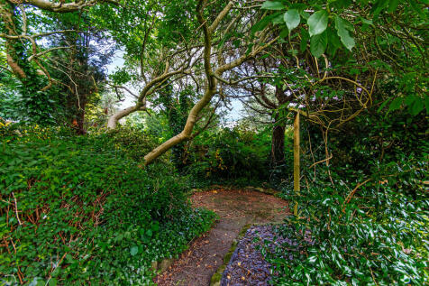 Property Image 43