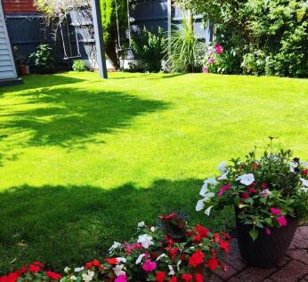 284 Dovedale Road...