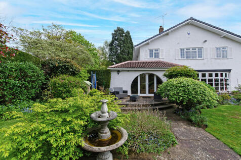 Property Image 46