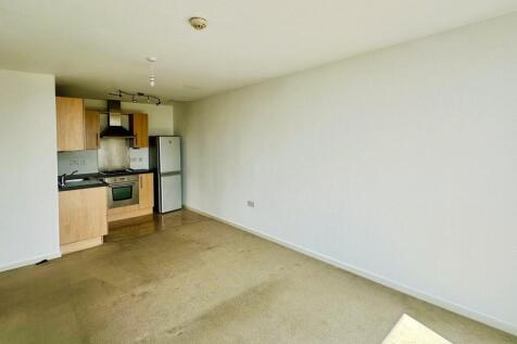 Living Area/Kitchen