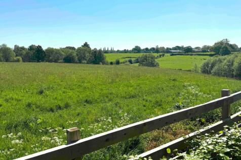 View From Garden