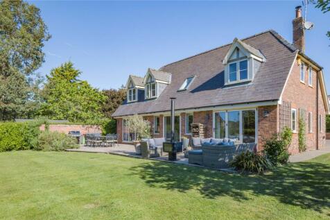 Sidalcea Cottage