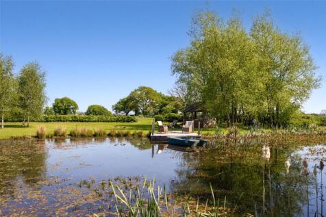 Pond