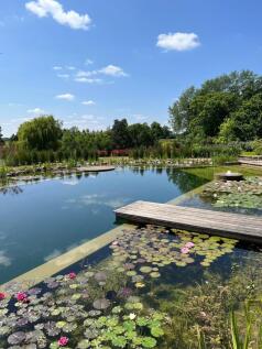 Swimming Pond