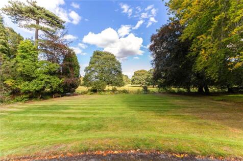 Front Lawn