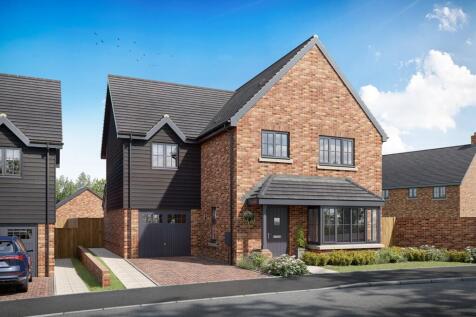 Plot 19