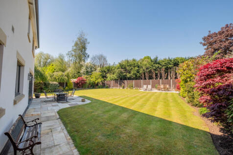 Property Image 33