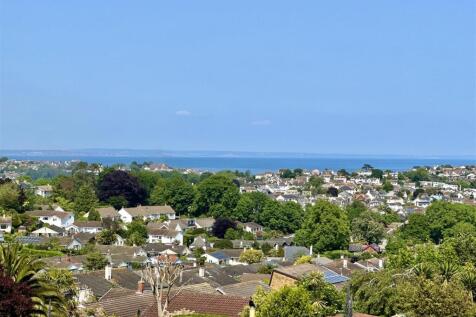View From.jpg