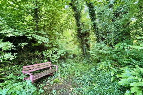 Woodland.jpeg