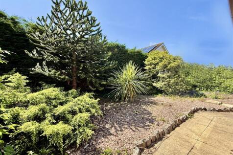Rear  Garden.jpg