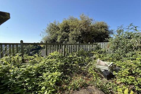 Front Garden.jpg