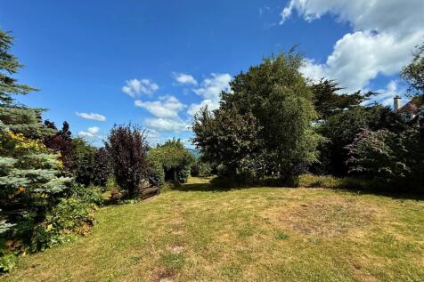 Rear Lawn.JPG