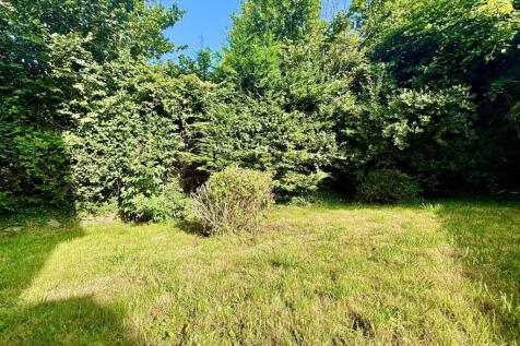 Rear Garden.JPG