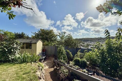 Veg Patch &amp; Shed.JPG