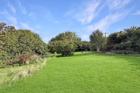 Lawn.JPG