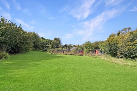 Lawn Back Towards Garages.JPG