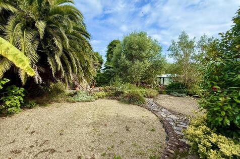 Rear Lawn.JPG
