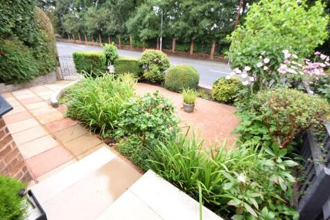 CHEWMOOR6N.jpg