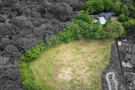 DRONE SIDE GARDEN