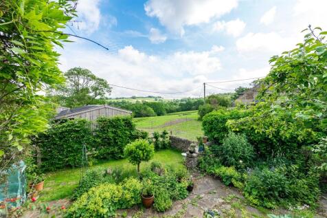 Garden /View