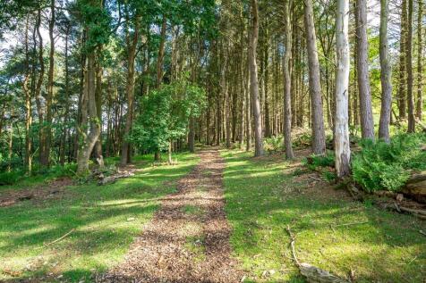 Woodland