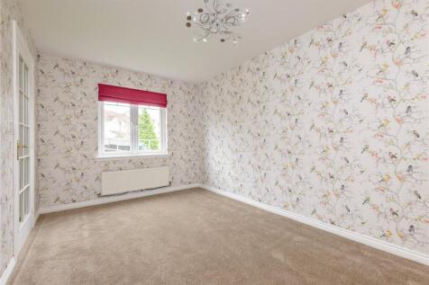 Hawk Crescent 11