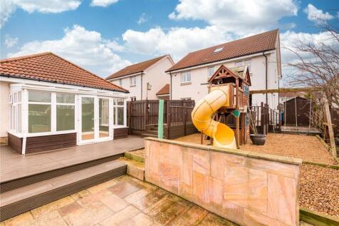 Hawk Crescent 49