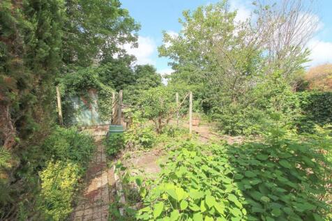 GARDEN B.jpg