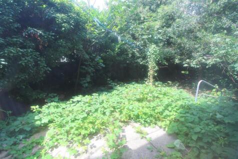 GARDEN B.JPG