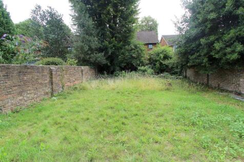 garden b.JPG