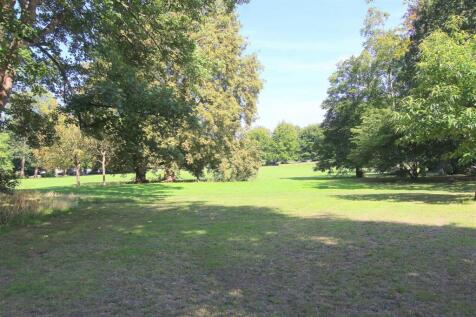 park views b.JPG