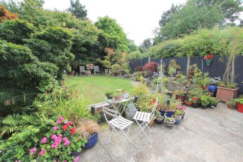garden a.JPG