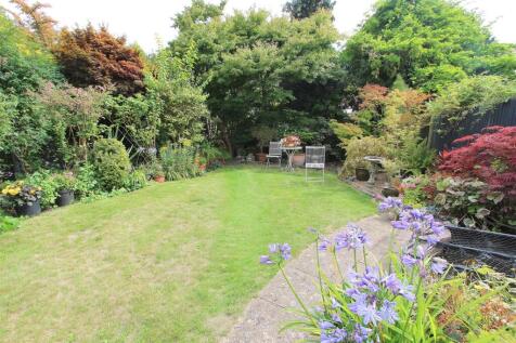 garden b.JPG
