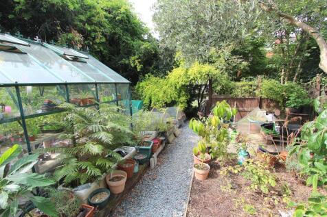 garden d.JPG