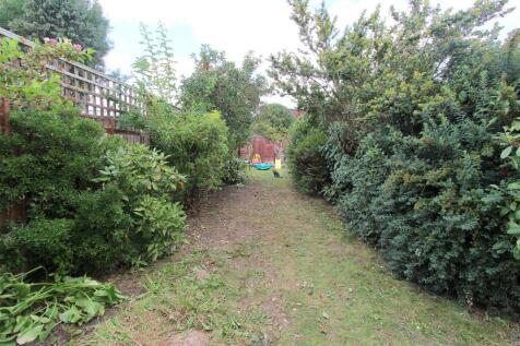 garden b.JPG