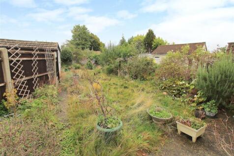 garden.JPG