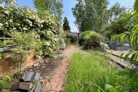 garden1.jpg