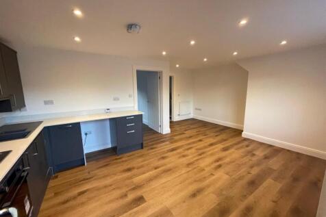 Living / Kitchen Area