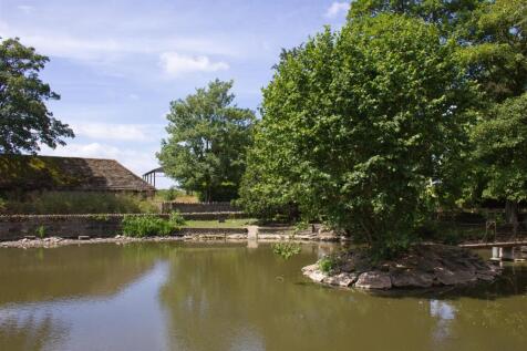 Village duck pond